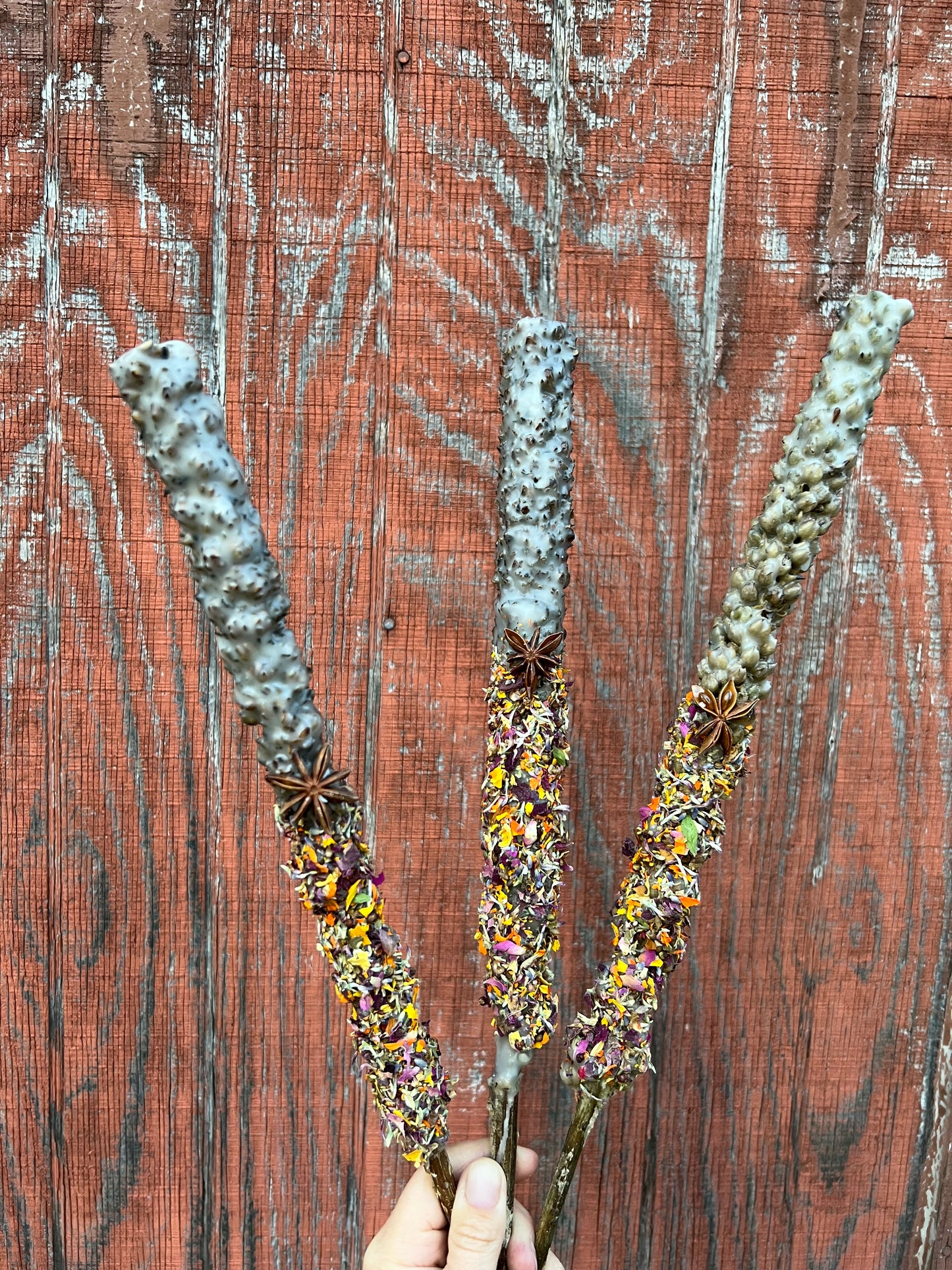 Mullein Torches