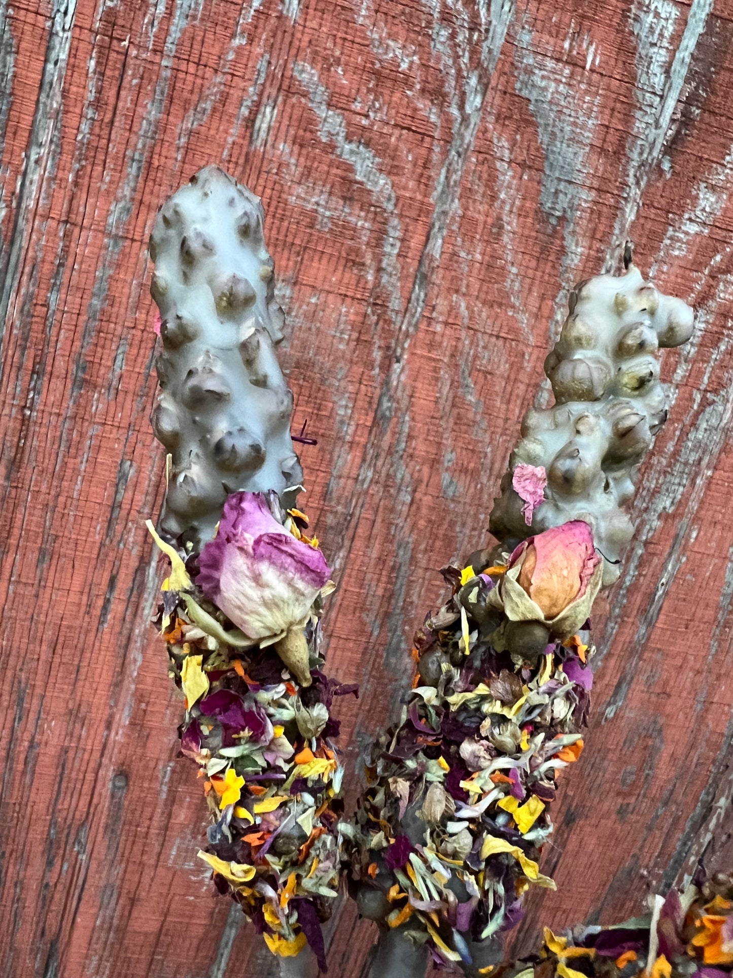 Mullein Torches