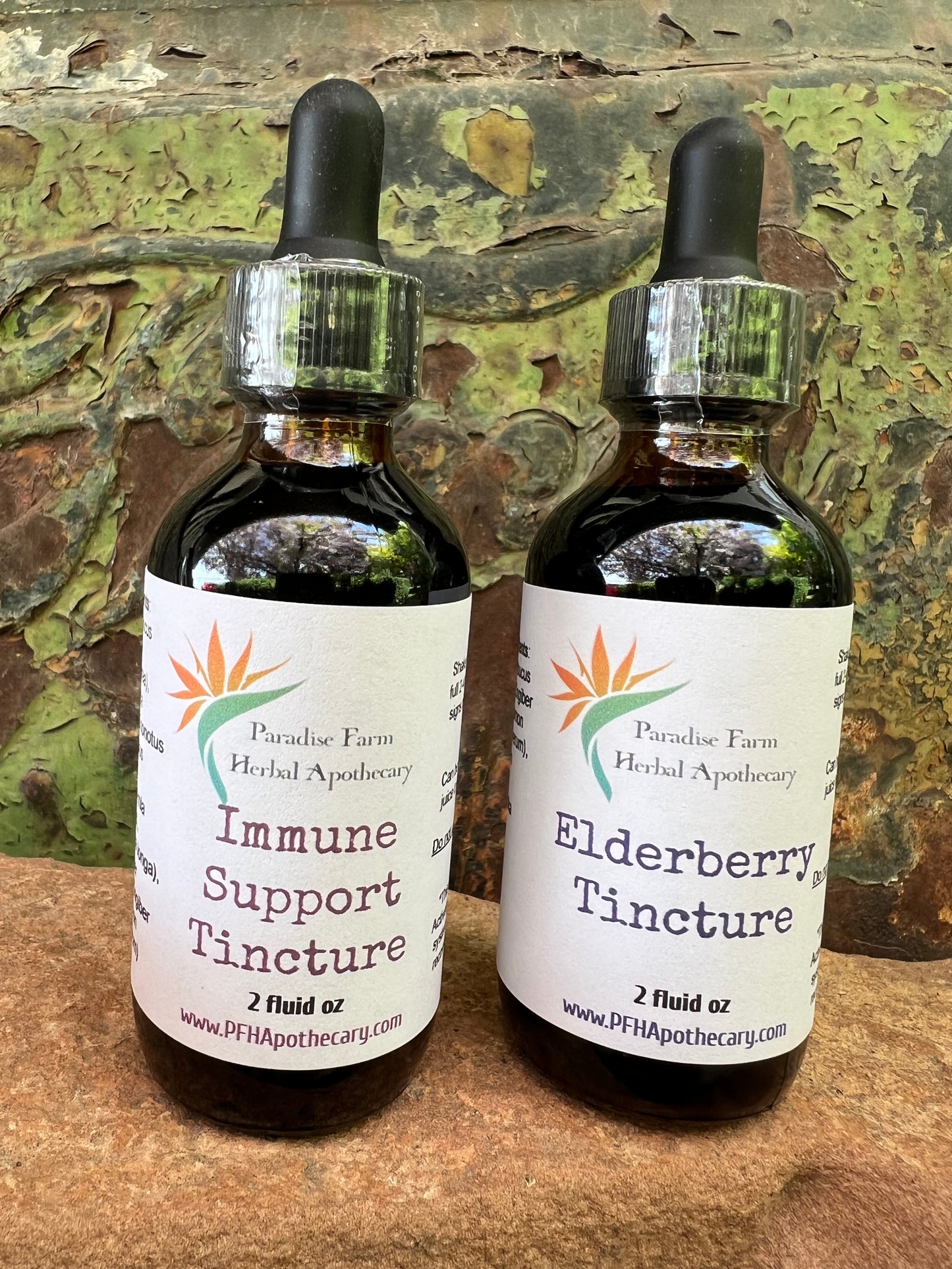 Immune Support Tincture | Organic