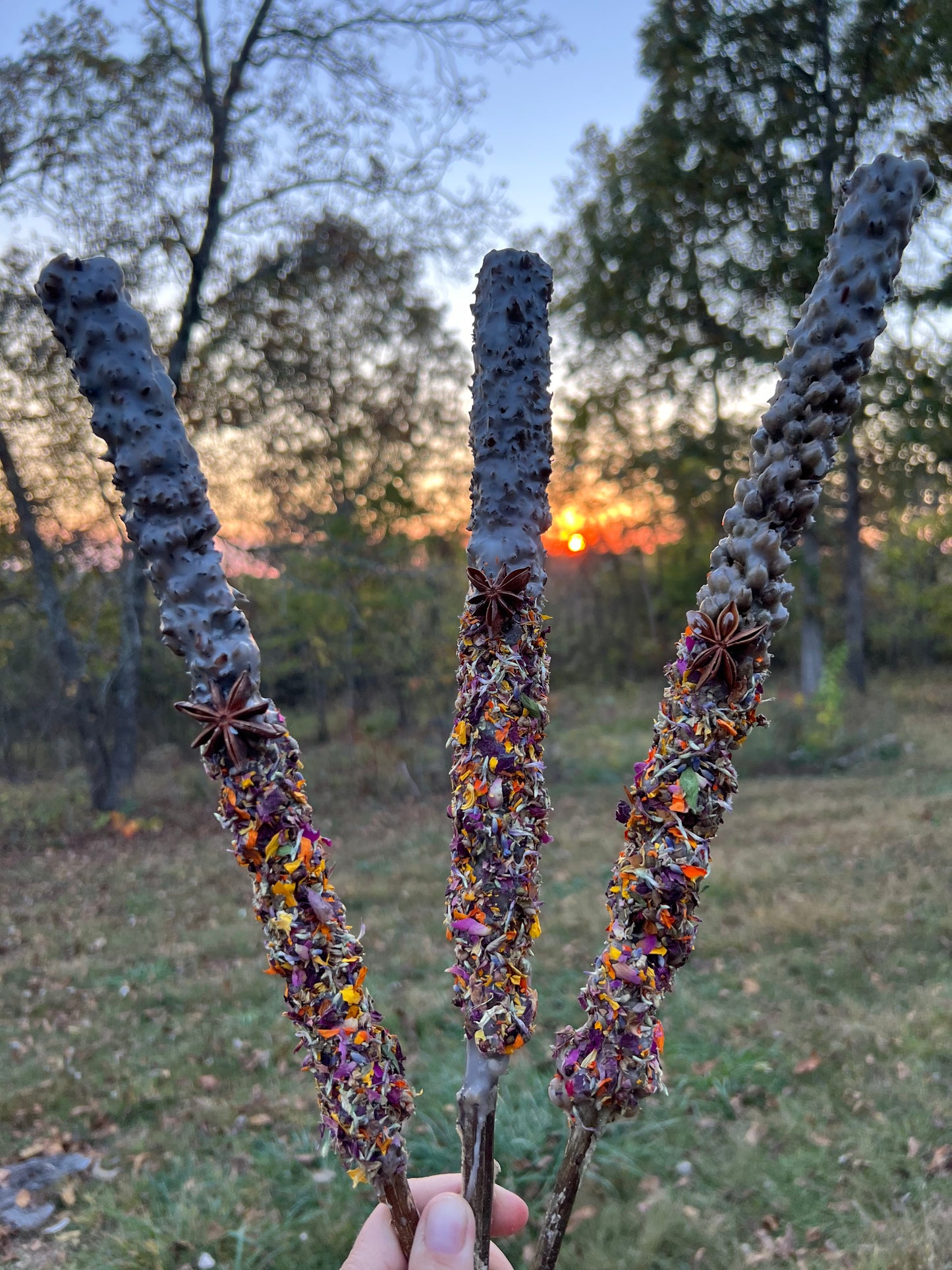 Mullein Torches