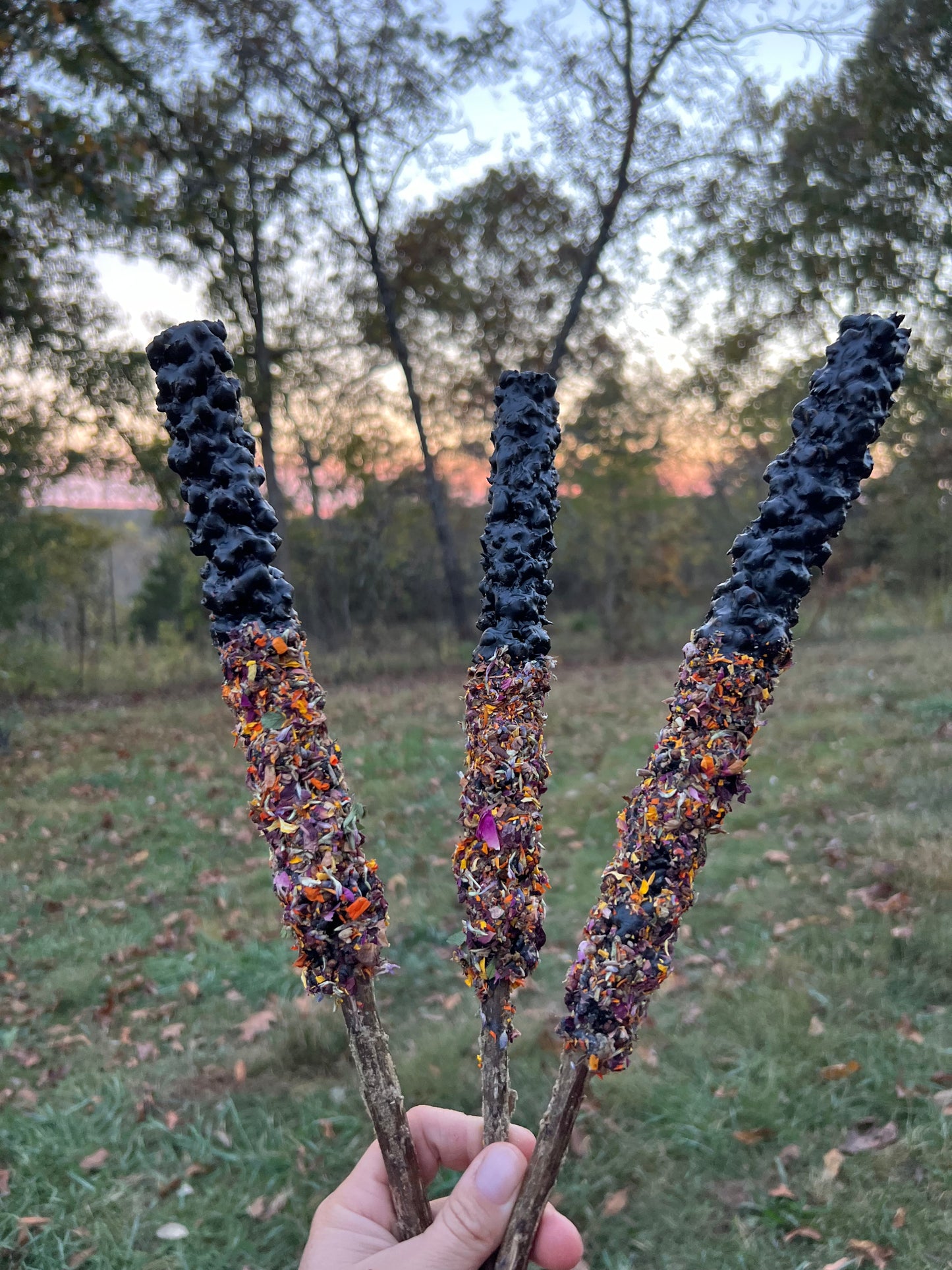 Mullein Torches