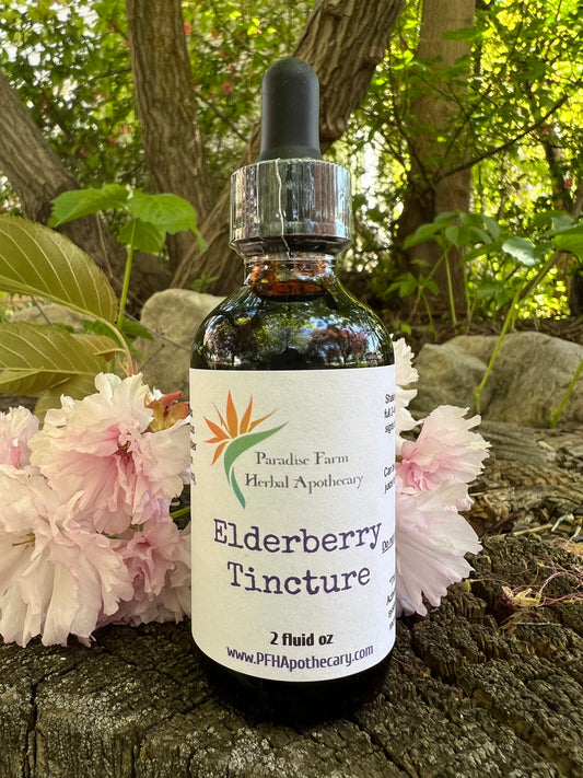 Elderberry Tincture | Organic