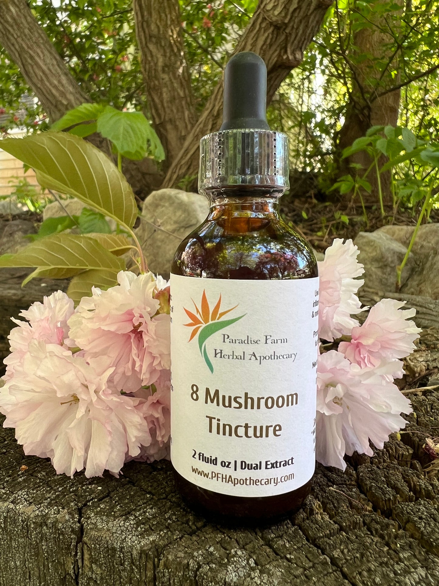 8 Mushroom Tincture | Organic | Dual Extracted