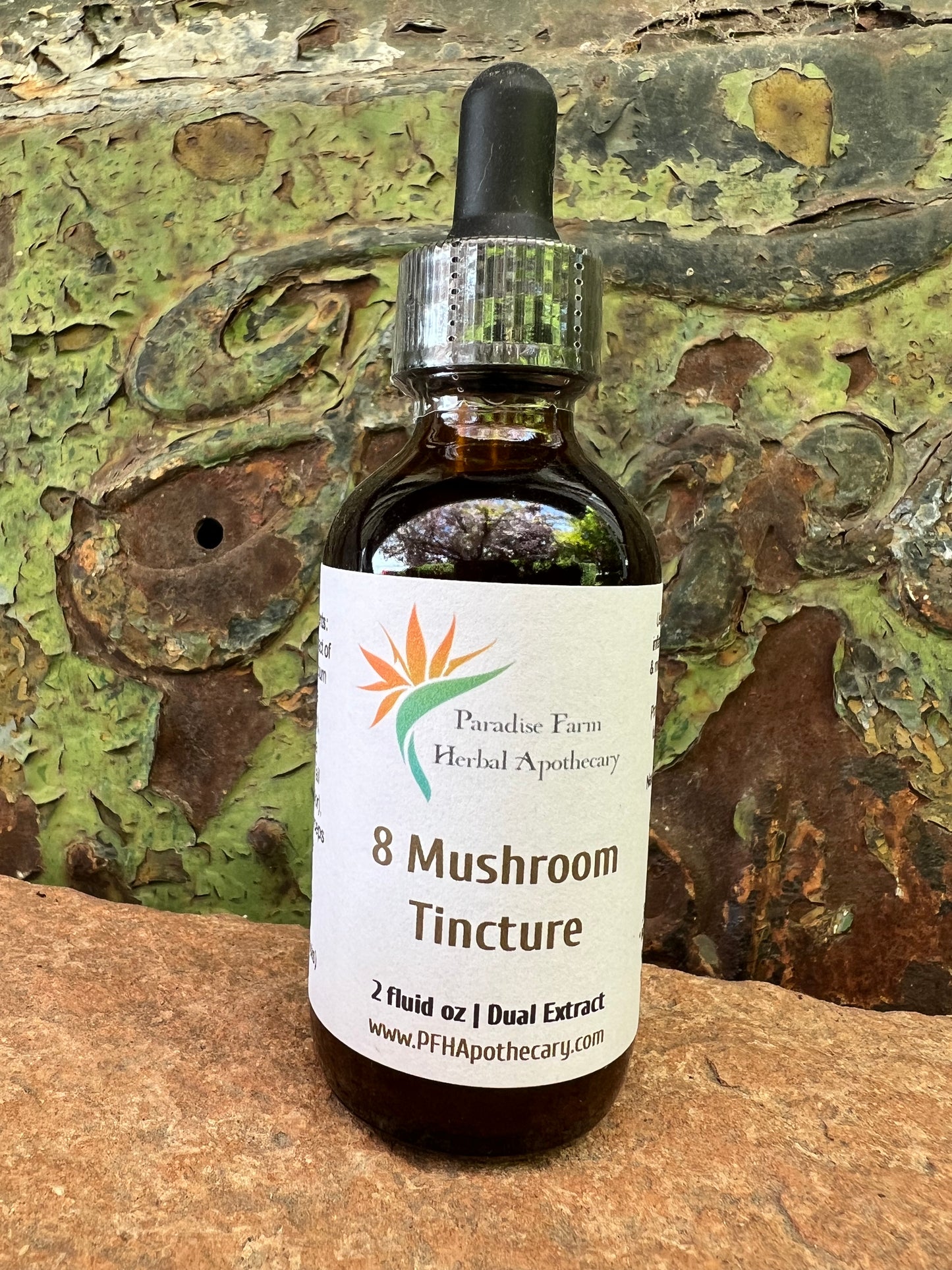 8 Mushroom Tincture | Organic | Dual Extracted